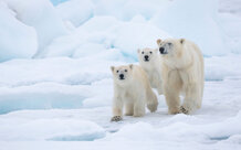 © Richard Barrett / WWF UK