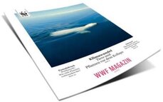 © WWF Schweiz