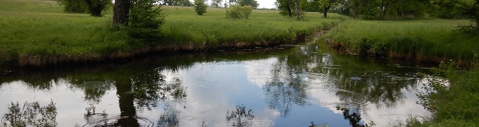 © WWF Zürich